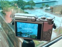 -香港皇家太平洋酒店