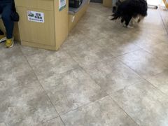 -美联众合动物医院·24h转诊中心