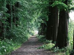 -同里国家湿地公园