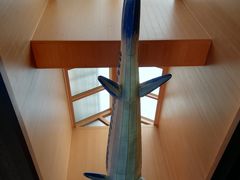 -蓝鲸湾汤泉(包河店)