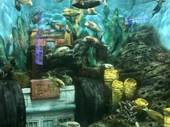 -合肥海洋世界