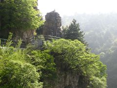 -王莽岭风景区