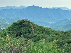-大岭沟猕猴桃谷风景区