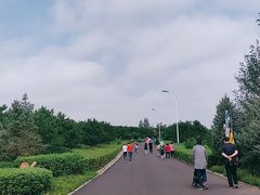-苏木山森林公园