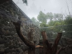 -青藏高原野生动物园