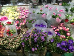 -三旗百汇商品城