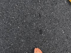 -合肥滨湖国家森林公园