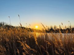-野鸭湖国家湿地公园