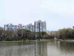 -新江湾城公园