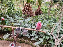 -南宫五洲植物乐园