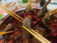 -枇杷园食为鲜火锅(南山店)