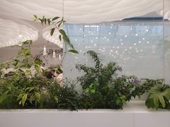 -大树餐厅(红旗街万达店)