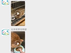 -北京观赏动物医院·24小时大型综合·猫专科·异宠专科