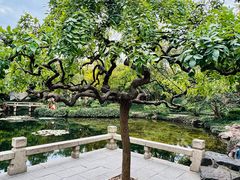 -秋霞圃
