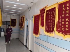 -中农国际动物医院24小时·猫科·骨科·急重症中心