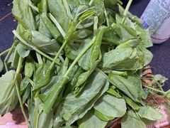 -肥龙火锅(南坪店)