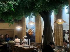 -大理董·董家小厨野生菌火锅(古城旗舰店)