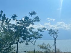 -大理洱海