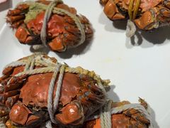 -杨氏青龙虾·羊蝎子(金盛路总店)