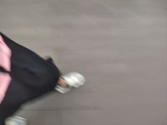 -凤岗南门山森林公园