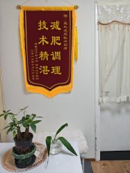 -寇氏减肥