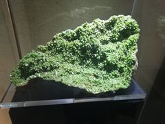 -中华赏石园