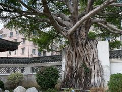 -墨池公园