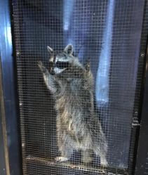 -酷嗒动物文化乐园(cutezoo西溪乐天城店)