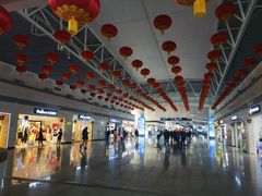 -石家庄正定国际机场-T2航站楼