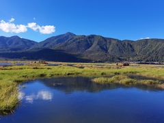 -腾冲北海湿地