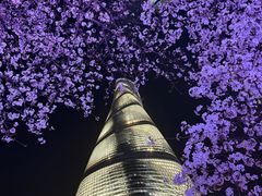 -上海中心大厦