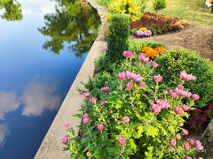 -上海共青森林公园