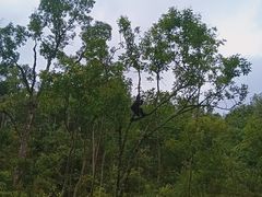 -普洱太阳河森林公园