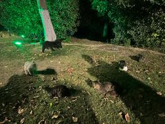 -云龙湖旅游景区