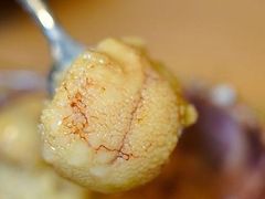 -海胆小馆(东北水饺·春柳店)