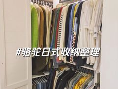 -骆驼日式搬家收纳整理