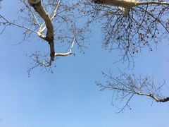 -南京航空航天大学(将军路校区)