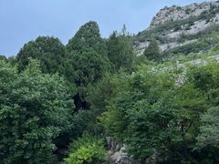 -佛慧山