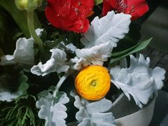 -双季花艺园艺市场(浦东店)