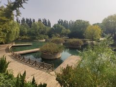 -百脉泉景区