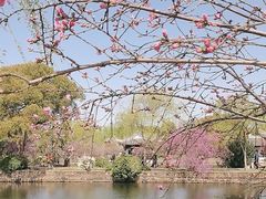 -无锡蠡湖国家湿地公园-蠡园
