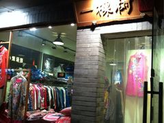 iphone_upload_pic-一棵树(雨儿胡同)