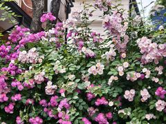 -常熟路(地铁站)