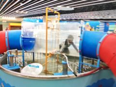 -苏州青少年科技馆