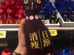 -猫咪博物馆(顶澳仔猫街店)