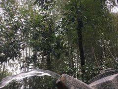-咸宁太乙国际温泉度假村