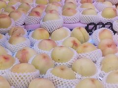 -葑门横街