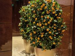 -万豪中餐厅·粤菜·北京粤财JW万豪酒店