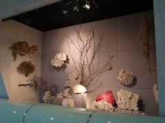 -烟台自然博物馆