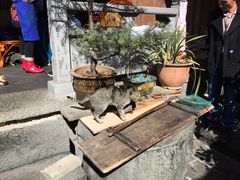 -龙姐私房菜(和顺古镇店)